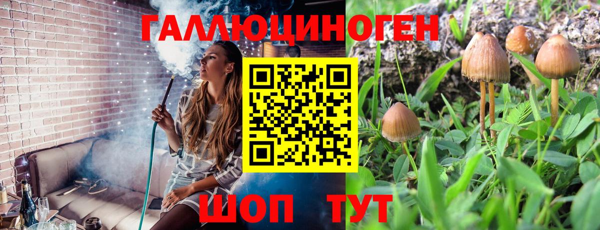 Галлюциногенные грибы Magic Shrooms Орск