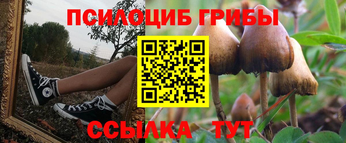 Орск  Псилоцибиновые грибы мицелий  Вход с VPN  Псилоцибиновые грибы прущие грибы 